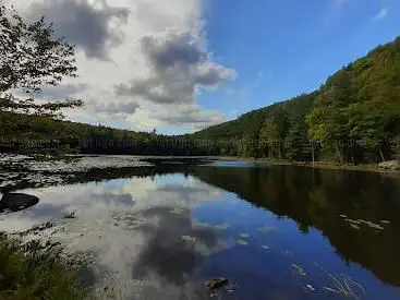 Alfred Kelly Nature Reserve