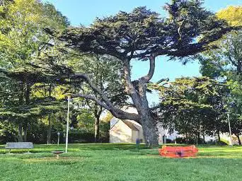 Parc du Cèdre