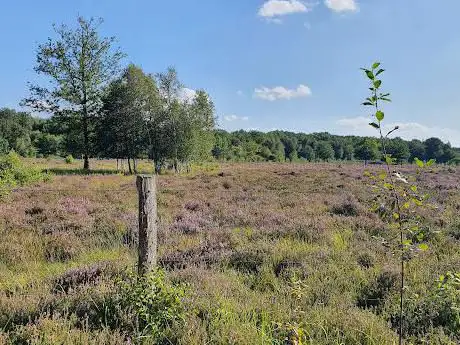 Photo de Réserve Naturelle Nationale des Landes de Versigny