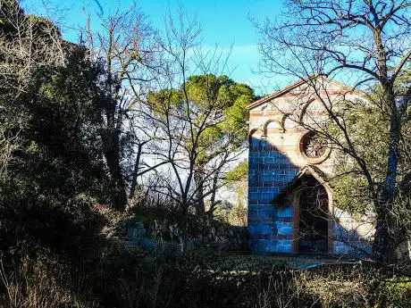 Foresta Burgos