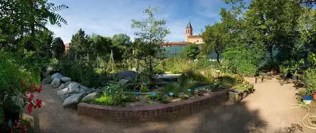 Photo de Jardin botanique Henri-Gaussen