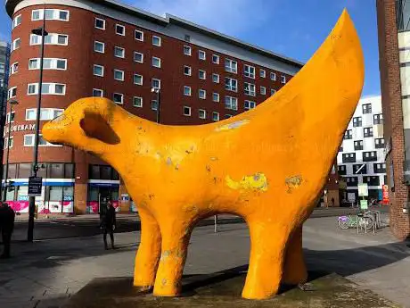 Photo de The Drumlin's SuperLambanana