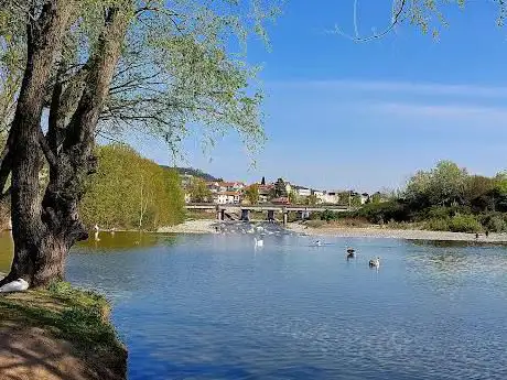Photo de L'oasi delle oche della Guidana