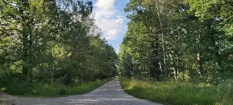 Photo de Forêt de Notre-Dame
