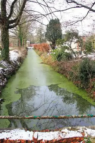 Abdijpark Sint-Bernardusabdij