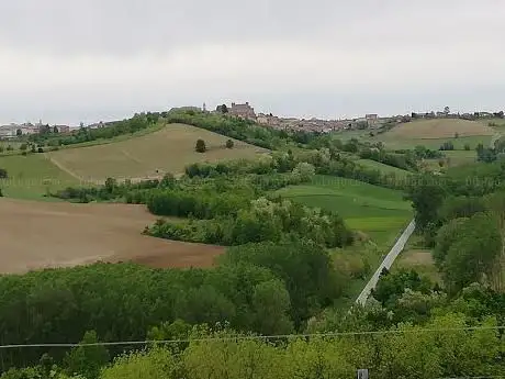 Belvedere Bricco Dorati