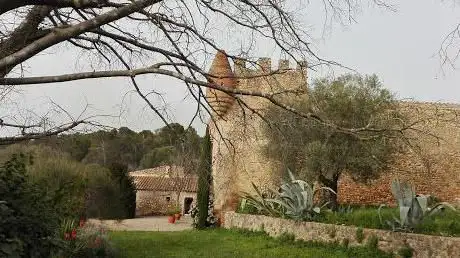 Photo de Castillo Puig Segalar