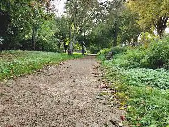 Photo de Parc des grenouilles vertes