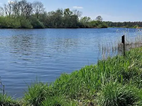 Photo de Mid-Yare National Nature Reserve