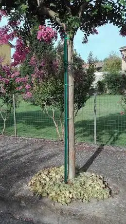 Photo de Linea Giardino