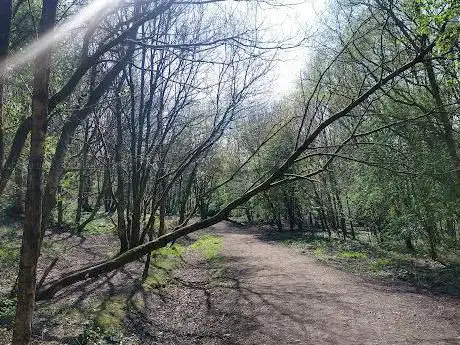 Photo de Birkacre MTB Jumps
