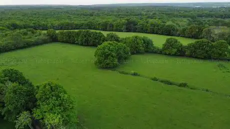 Photo de Blean Woods National Nature Reserve