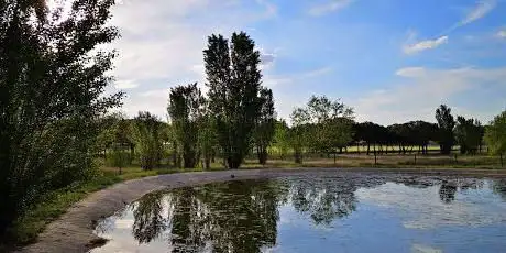 Photo de Laguna de los Sisones