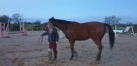 Photo de Hesteyri Horses