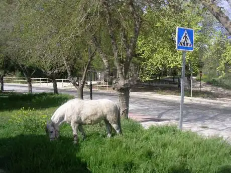Photo de Quebradas Park