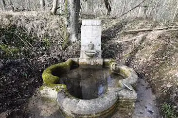 Photo de Fontaine des Carmes