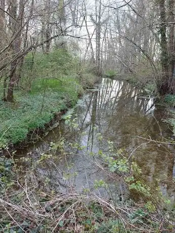 Photo de Bosco delle Ginestre