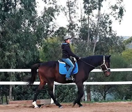 Reiterhof Wontanna - Reiten auf Sardinien