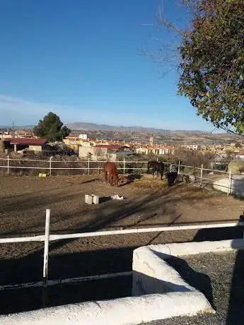 Photo de Centre equestre Guadix