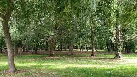 Photo de Parc Municipal