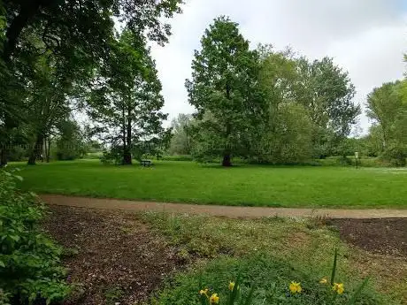 Photo de Music Meadow