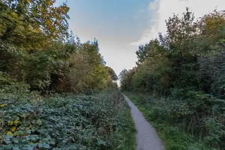 Photo de The Green Line Local Wildlife Site