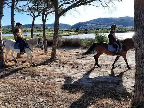 Maneggio Budoni Sardigna Equitours Asd
