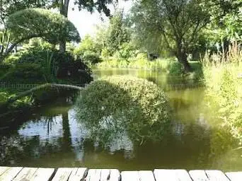 Photo de Le jardin Bosselé