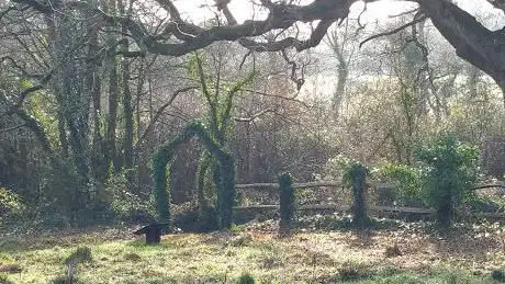 Photo de Millennium Green