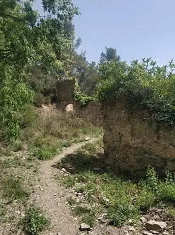 Photo de Font de Santa Margarida