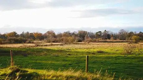 Photo de Chippenham Fen