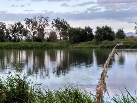 Camí de les llúdrigues (Itinerari pel marge del Fluvià)