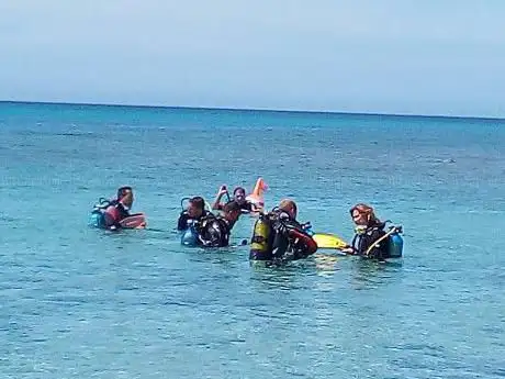 All dive sas di Marco Colonna & C Centro Immersioni -