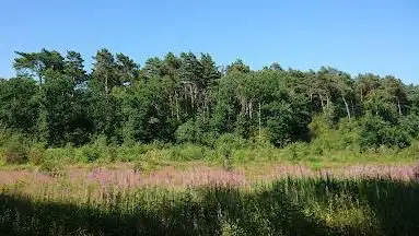 Hoge Kempen National Park - Lieteberg