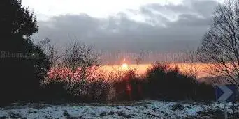 Point De Vue