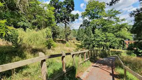 Cardiac Hill