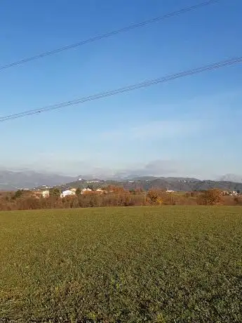 Photo de Albero della Verità