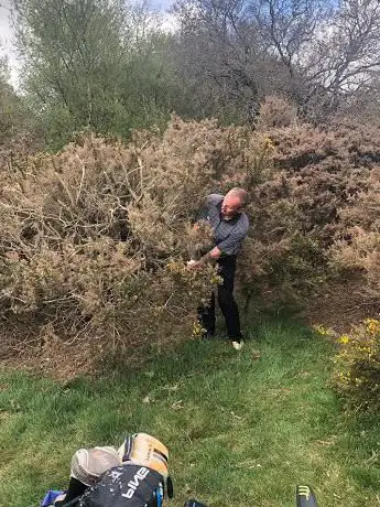Noggin??s Bush