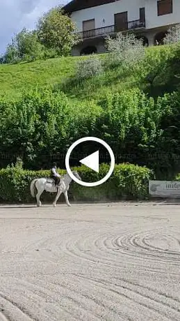 Scuderia Il Colle