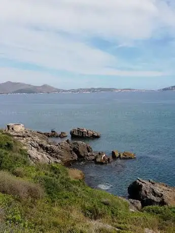 Photo de Garitta Tedesca
