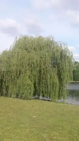 Photo de Parc Municipal