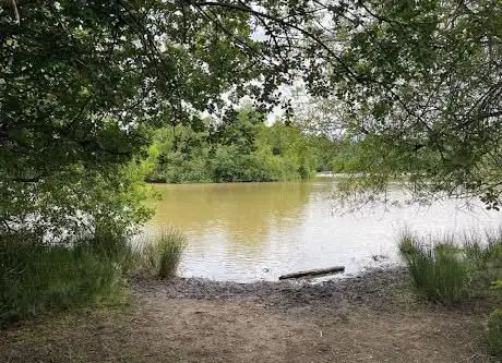 Photo de Woorgreens Lake and Marsh