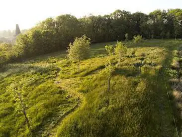 Forêt comestible associative