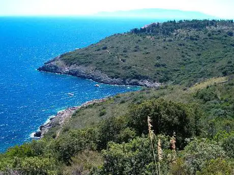 Photo de Torre Cala Grande