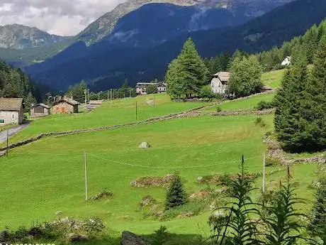 Photo de Parco delle marmotte