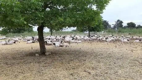 Photo de Pianoro di Baccalà
