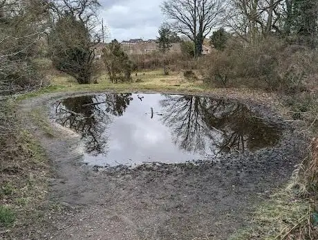 Toad Hall Pond