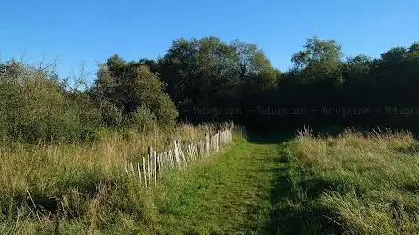 Photo de Brackagh Nature Reserve