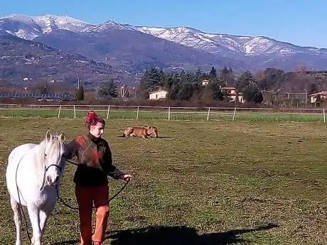 Photo de Scuola equestre Epona asd