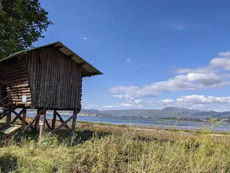 Observatorio de aves